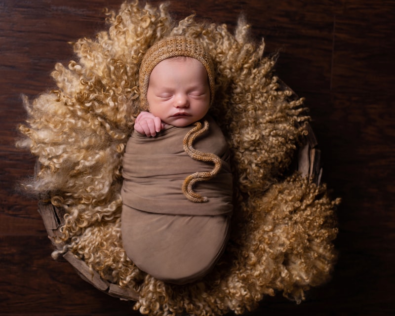 Newborn Photography, a little baby wears a beanie and sleeps ion a cushion in a basket